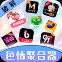 色情聚合器